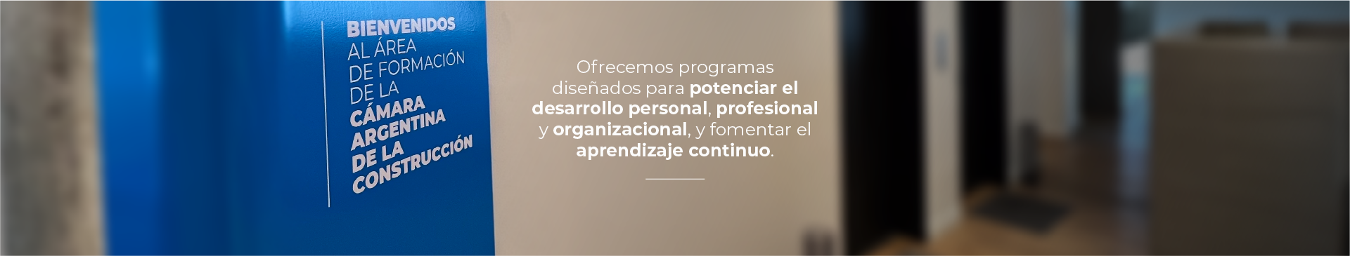 &Aacute;rea de formaci&oacute;n